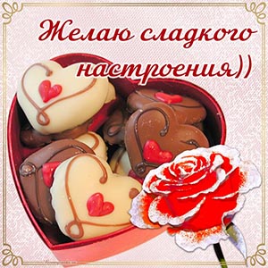 Бесподобная картинка с розой, желаю сладкого настроения