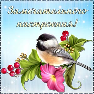 Роскошная открытка с птичкой, замечательного настроения