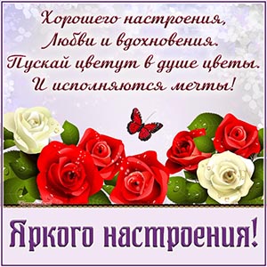 Бабочка, красивые розочки и пожелание яркого настроения