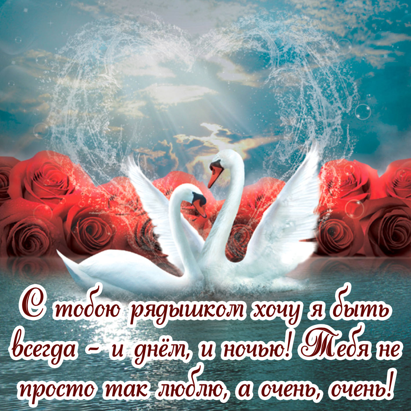 Картинка люблю с лебедями на фоне красных роз