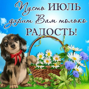 Летняя открытка с собачкой и корзиной ромашек