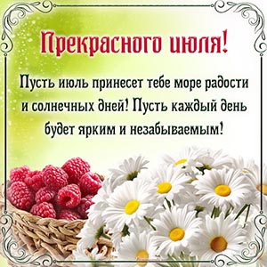Малина, красивые ромашки и пожелание прекрасного июля