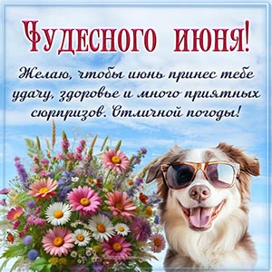 Желаю, чтобы июнь принес удачу, много приятных сюрпризов