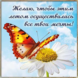 Желаю, чтобы этим летом осуществились все твои мечты