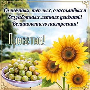 Летняя открытка с крыжовником и яркими подсолнухами