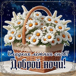Ромашки и надпись - сладких летних снов, доброй ночи