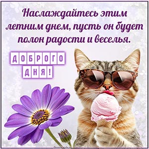 Картинка с котом, мороженым и пожеланием доброго дня