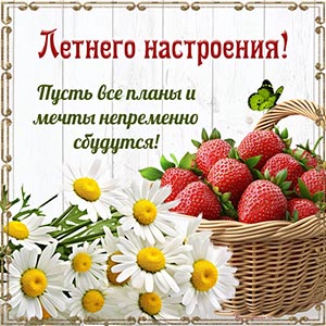 Замечательная картинка на лето с клубникой и ромашками