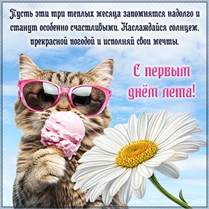 Картинка с котиком и пожелание на первый день лета