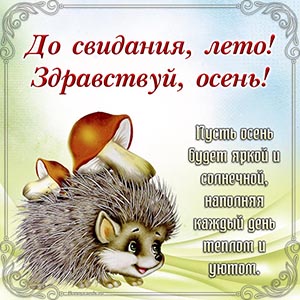 Картинка с милым ёжиком в рамочке - до свидания, лето