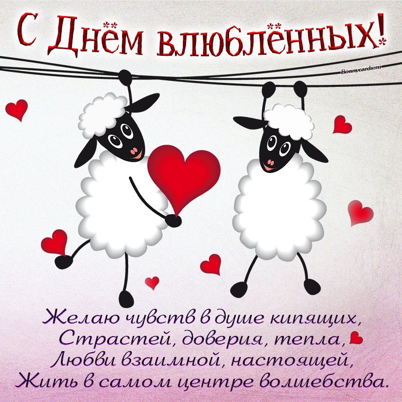 Открытка - поздравление с Днём влюбленных с овечками и стихами