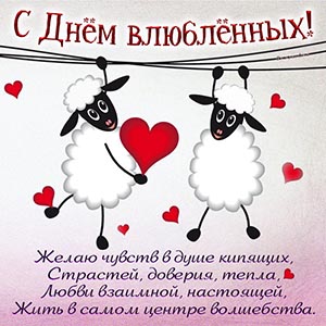 Поздравление с Днём влюбленных с овечками и стихами