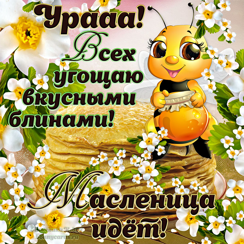 Открытка - милая пчелка поздравляет всех с наступающей Масленицей