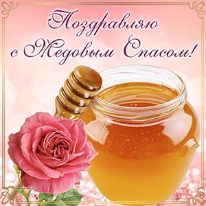 Нежная роза, мёд и текст - поздравляю с Медовым Спасом