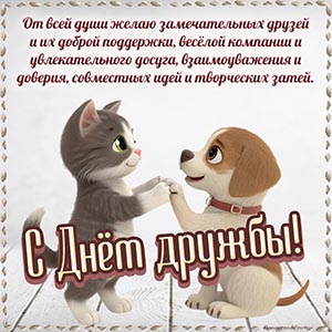 Котик, собачка и отличное поздравление с Днём дружбы