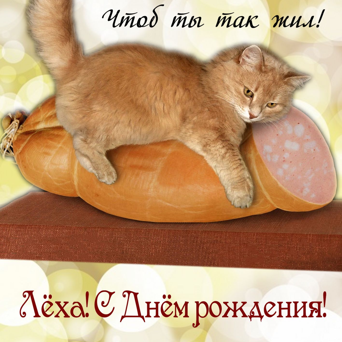 Открытка с котиком на палке колбасы на День рождения Лёхе