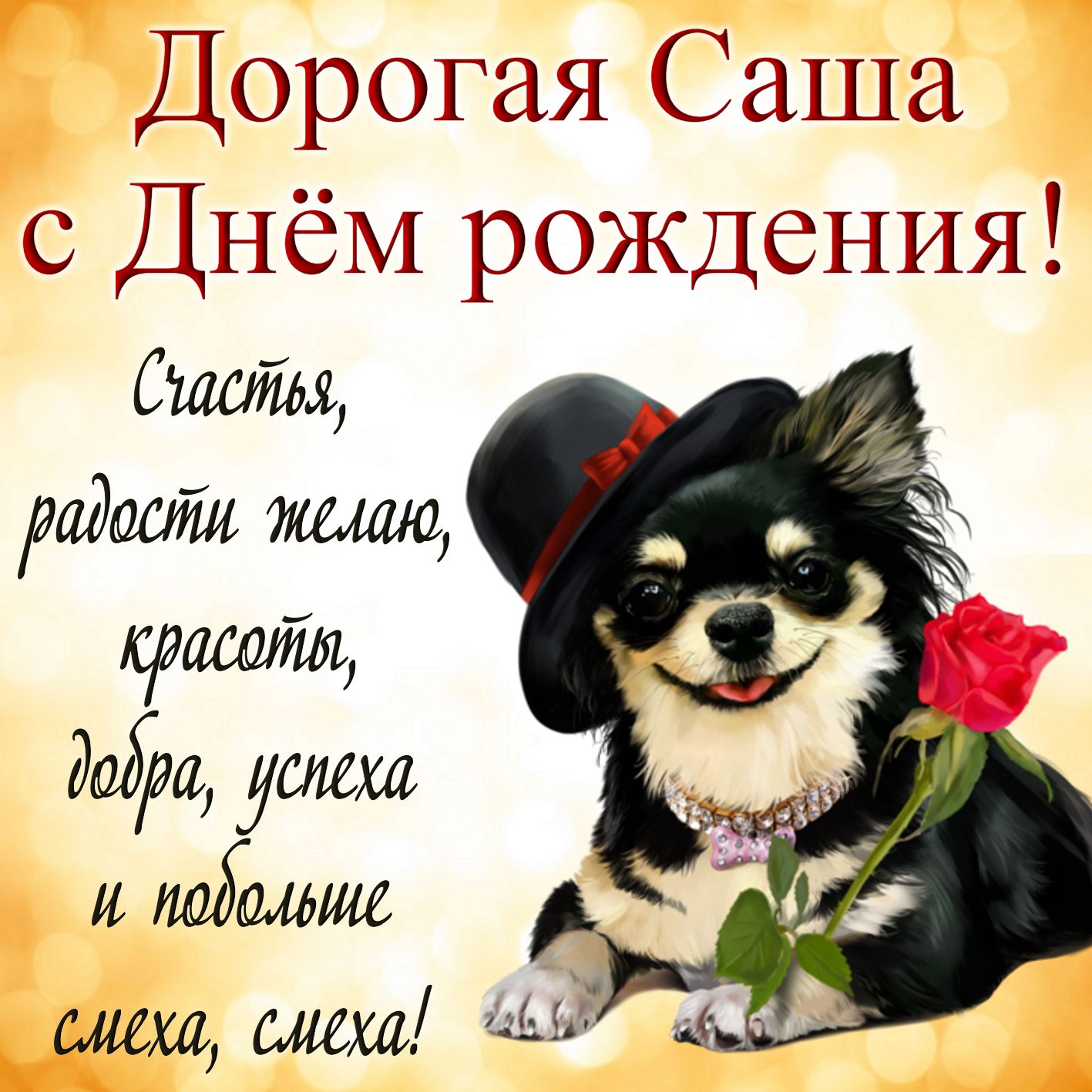 Открытка Александре на День рождения - милая собачка в шляпке с розой