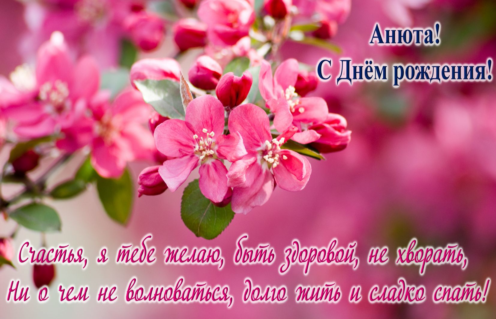 Красивые цветы на розовом фоне для Анюты