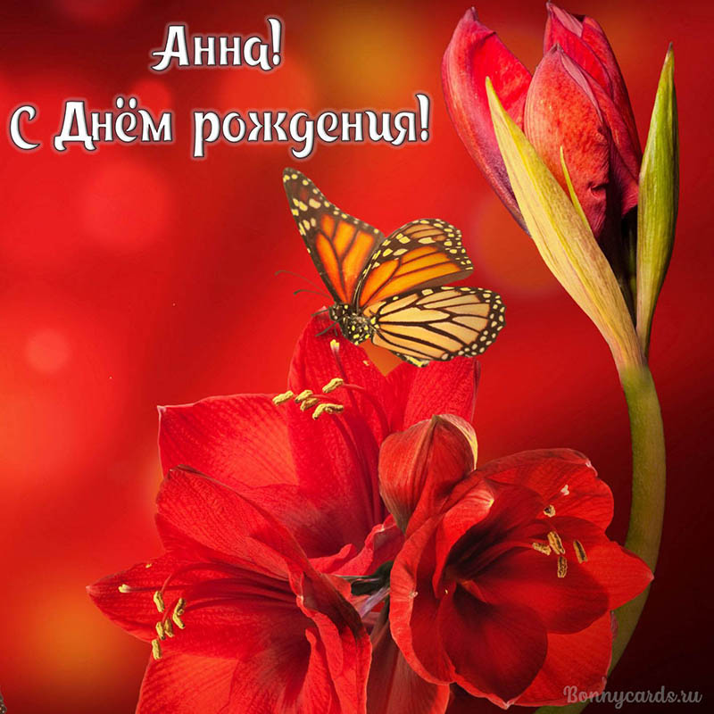 Яркая открытка с цветами и бабочкой на День рождения Анне