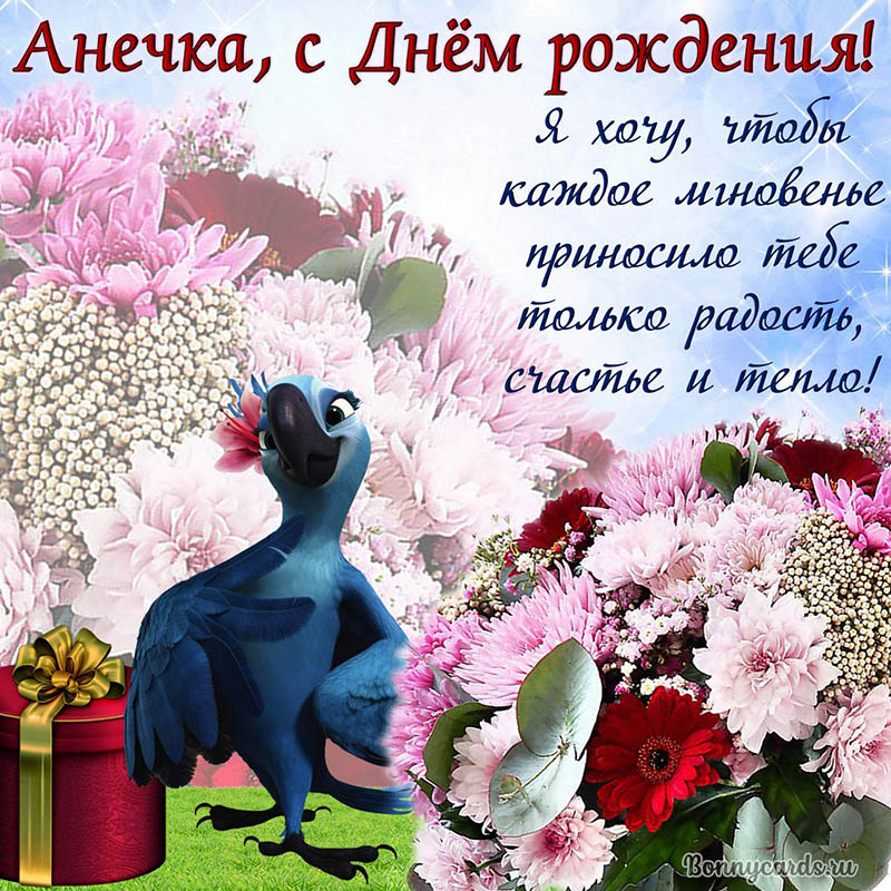 Картинка на День рождения Анечке с попугаем и цветами