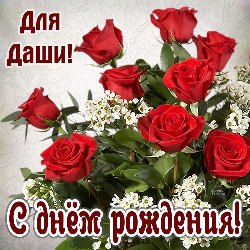 Открытка - красные розы и поздравление Даше на день рождения