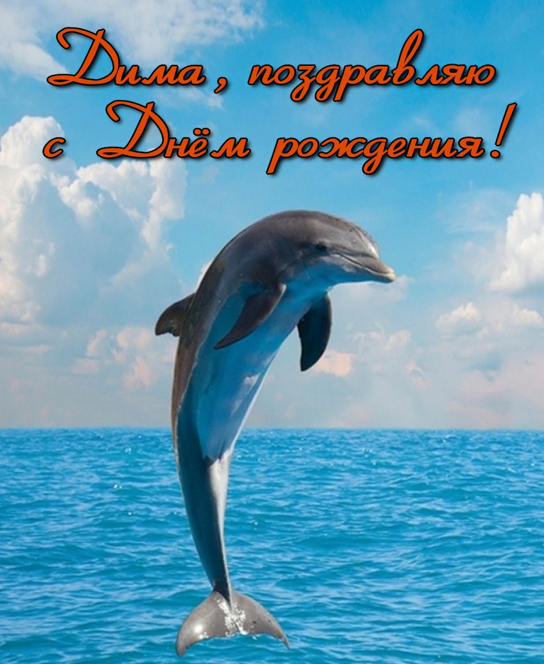 Поздравление Диме на фоне моря с дельфином