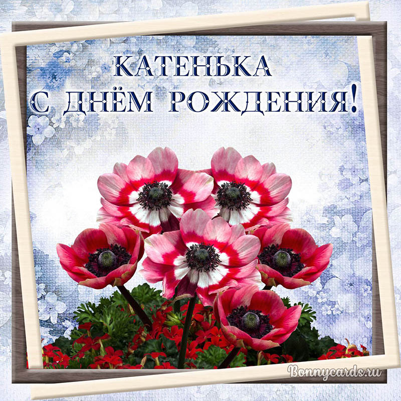 Открытка на День рождения Катеньке с яркими цветочками