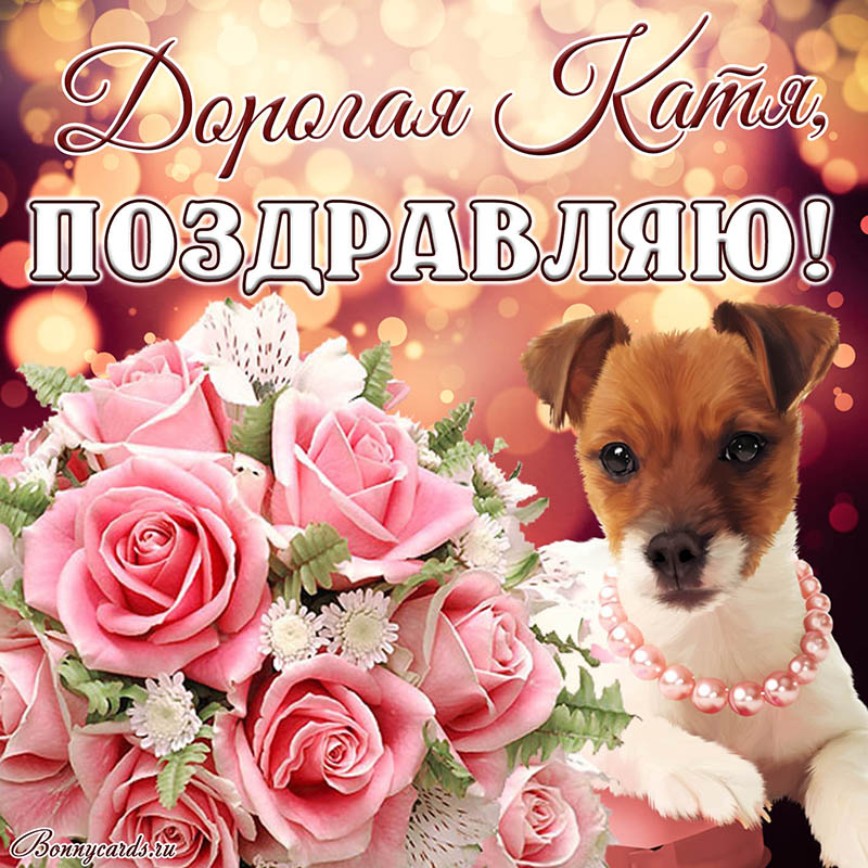 Красивая картинка поздравляю с собачкой и цветами Кате
