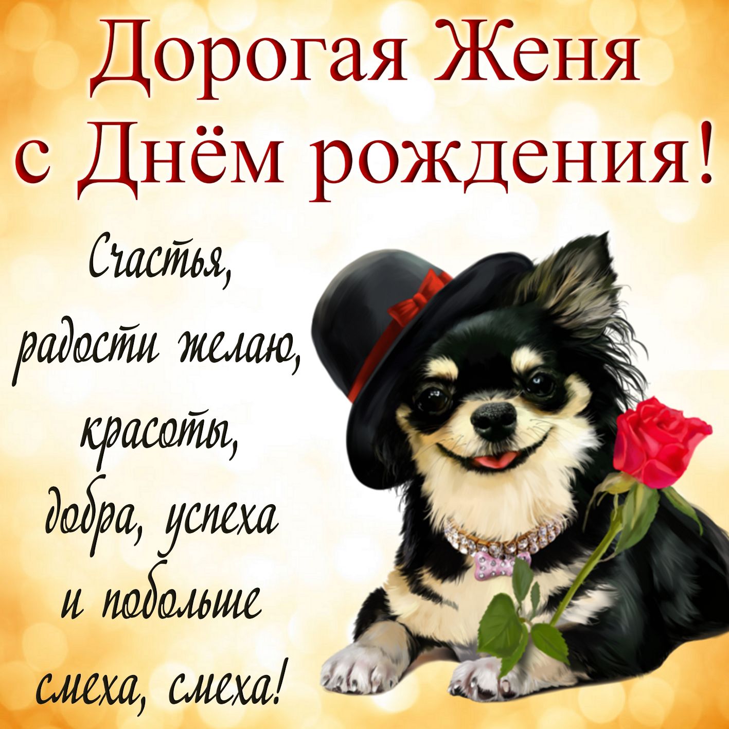 Открытка на День рождения Евгении - милая собачка в шляпке и пожелание