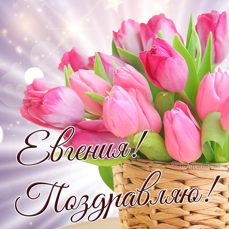 Открытка - поздравление для Евгении с тюльпанами в корзинке