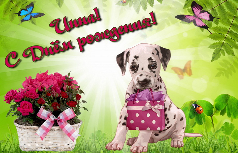 Собачка с подарком и цветы для Инны