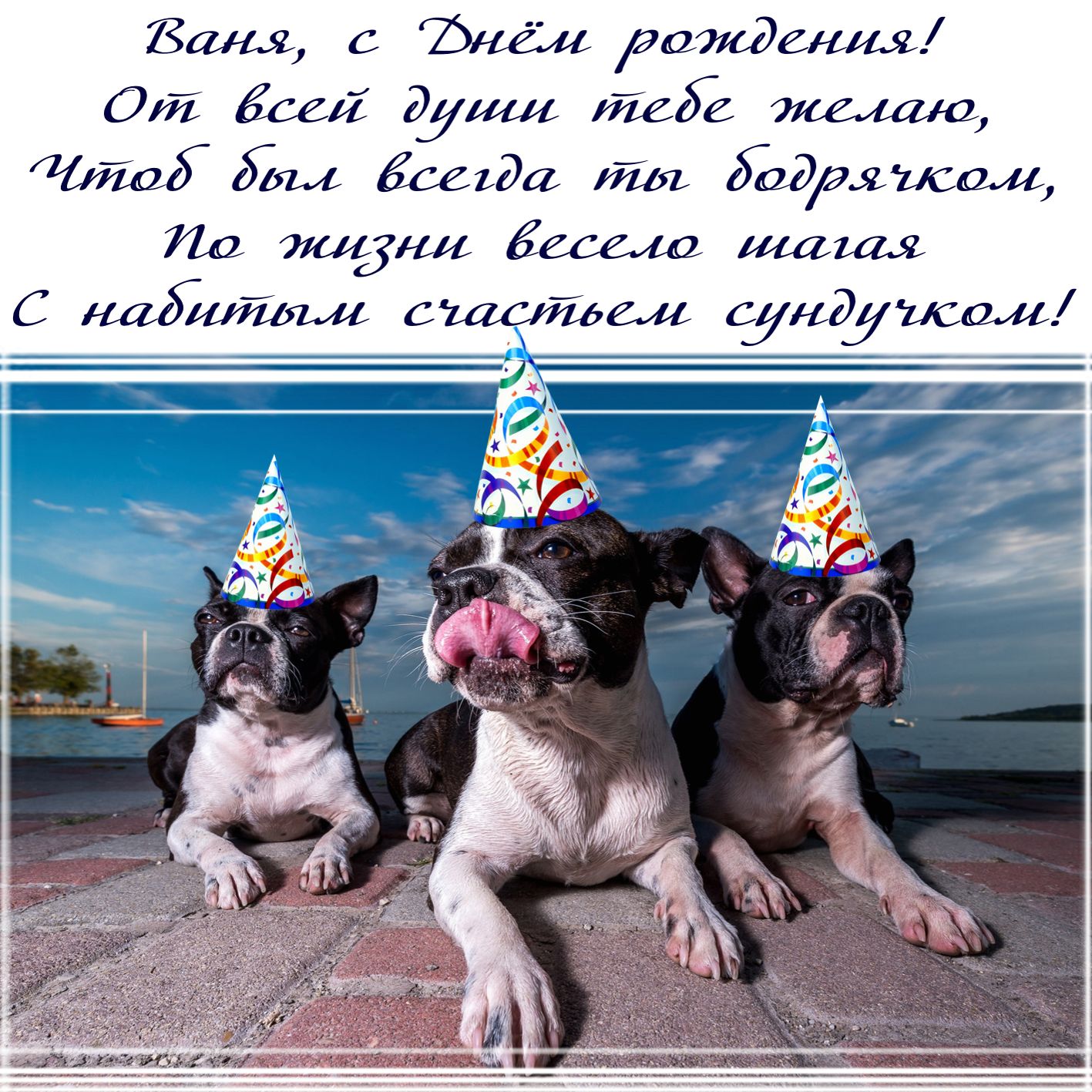 Открытка Ване - забавные собачки в колпачках поздравляют с Днём рождения