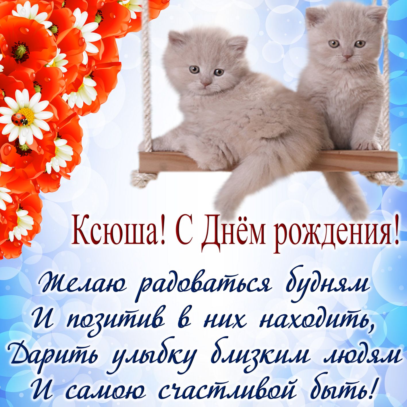 Открытка на День рождения Ксении - пушистые котята на качелях и пожелание