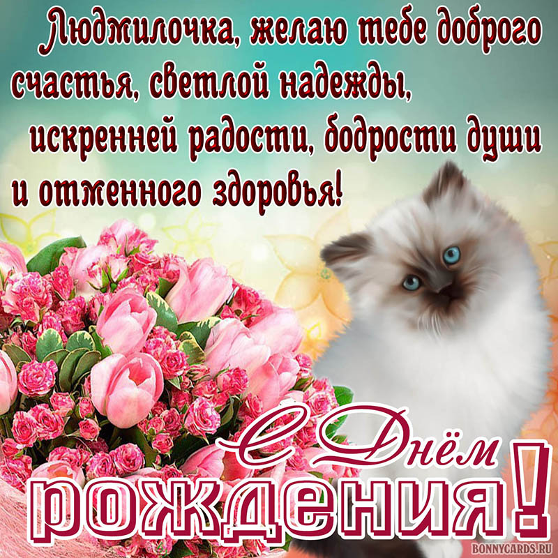 Открытка с котиком на День рождения Людмилочке