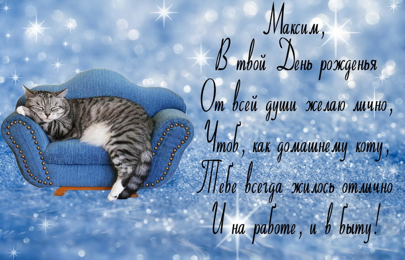 Пожелание Максиму от кота на диване