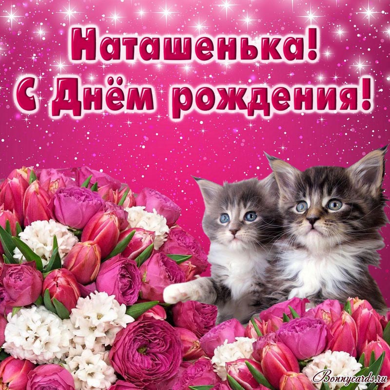 Картинка с цветами и котятами на День рождения Наташеньке