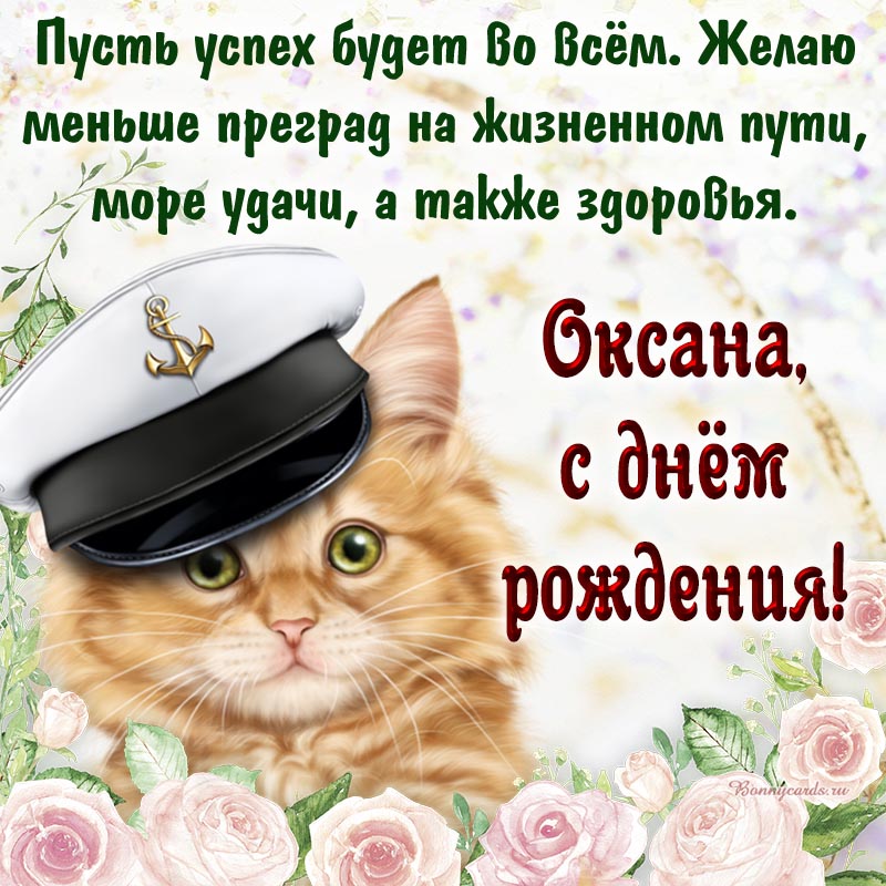 Открытка на день рождения, прикольный кот и текст - Оксана, пусть успех будет во всём