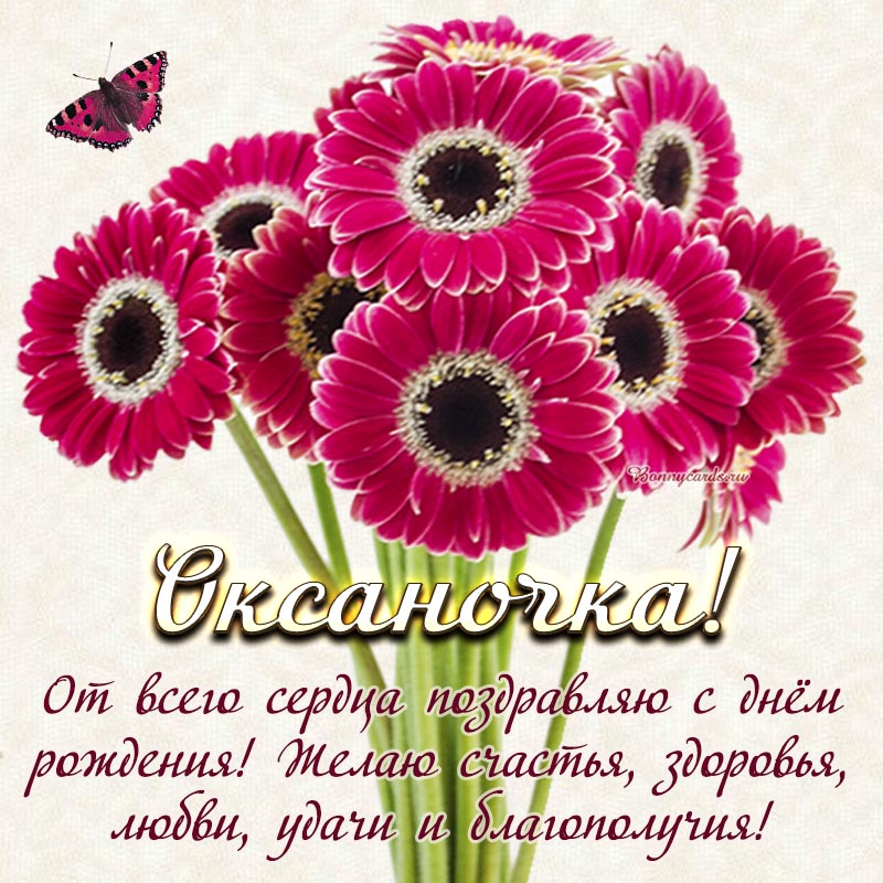 Отличная открытка Оксаночке с герберами и бабочкой на день рождения