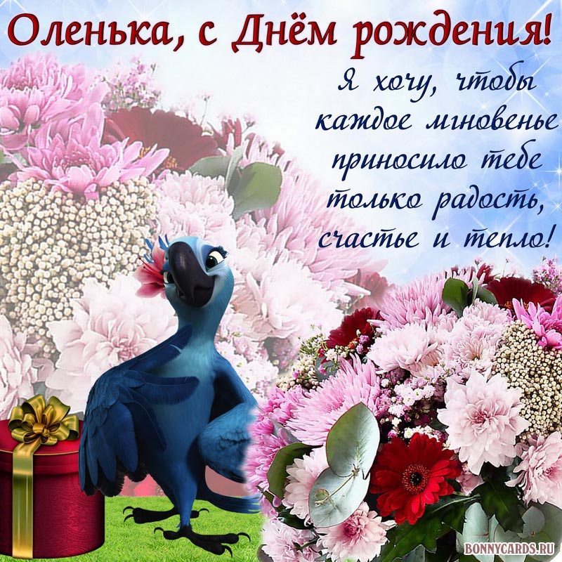 Картинка на День рождения Оленьке с попугаем и букетом