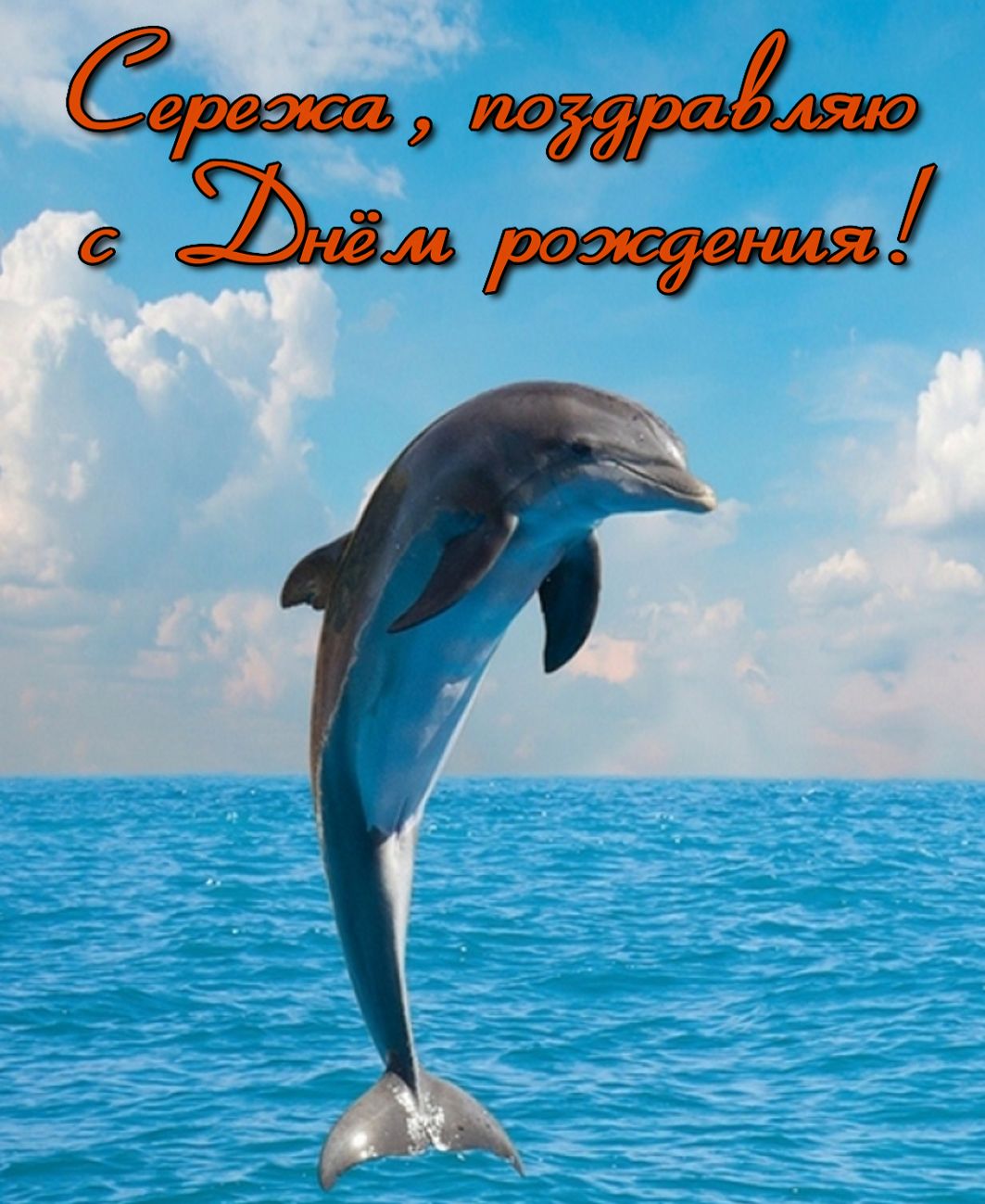 Открытка с дельфином Сереже на День рождения