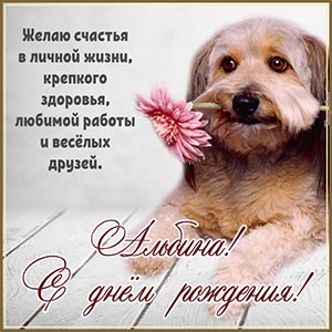 Собака и пожелание крепкого здоровья и весёлых друзей