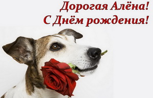 Открытка, собачка дарит розу.