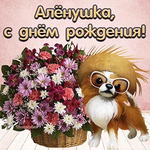 Картинка с прикольной собакой и корзиной цветов Алёнушке