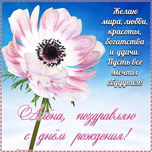 Алёна, желаю богатства, удачи, пусть все мечты сбудутся