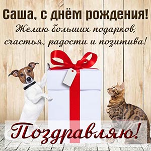 Картинка Саше с котом и собакой и надписью - поздравляю