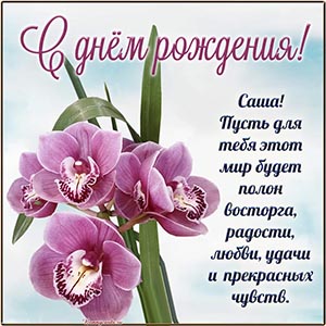 Поздравление и роскошные орхидеи Саше на день рождения