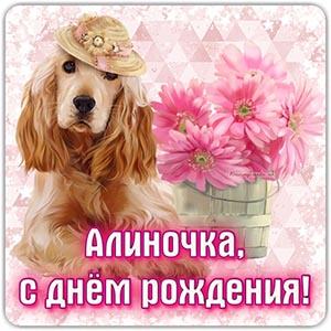 Поздравление Алиночке, цветы и забавная собака в шляпке