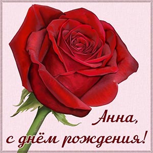 Открытка Анне на день рождения с красной розочкой
