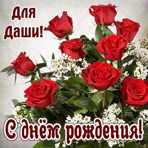 Красные розы и поздравление Даше на день рождения