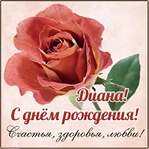 Красная розочка и поздравление Диане на день рождения